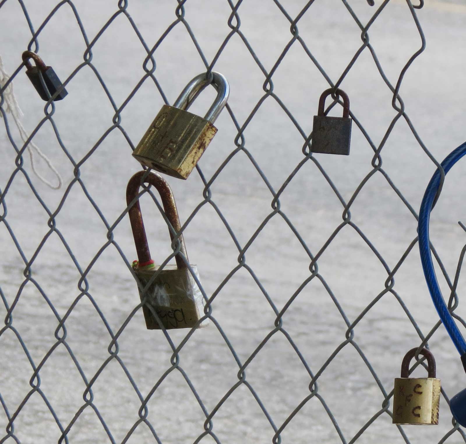 Love locks on the leidam fence